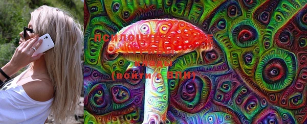 ешки Лабытнанги