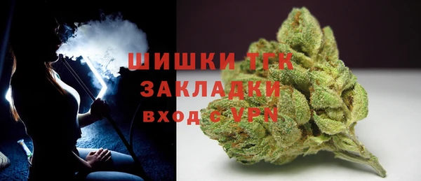 стафф Ладушкин