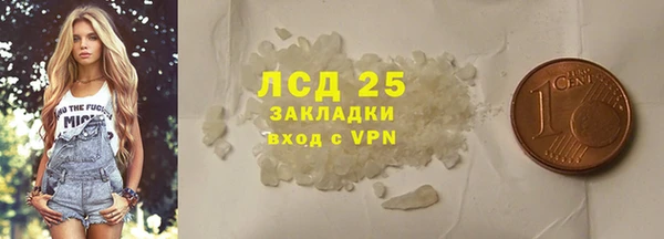 шишки Костерёво