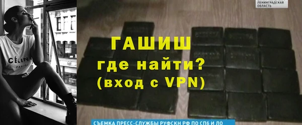 стафф Ладушкин
