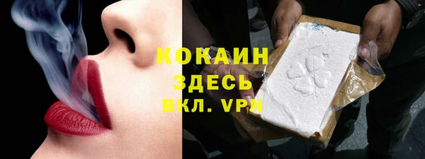 PSILOCYBIN Кулебаки