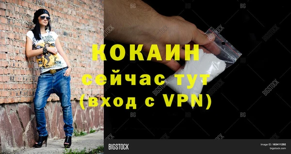 стафф Ладушкин