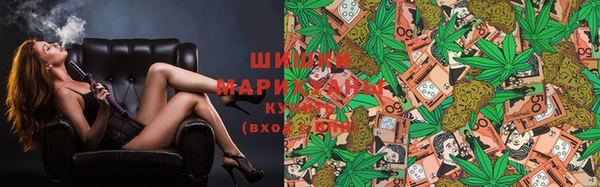PSILOCYBIN Кулебаки