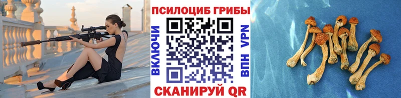 Галлюциногенные грибы Psilocybe  Называевск 